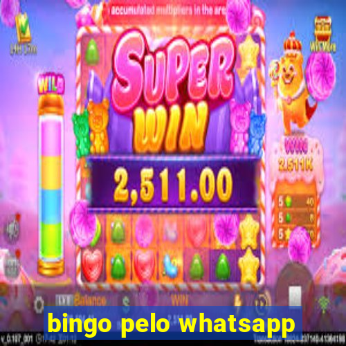 bingo pelo whatsapp